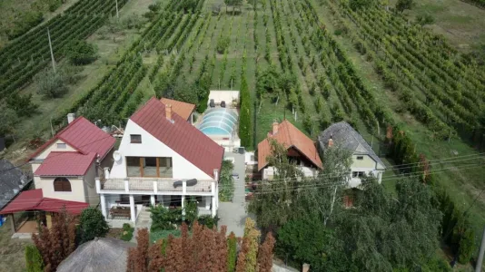 Haus Zu Verkaufen 99128 Vinica SK