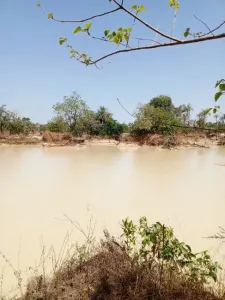 Bauland Zu Verkaufen 0000 Brikama Gambia  DE