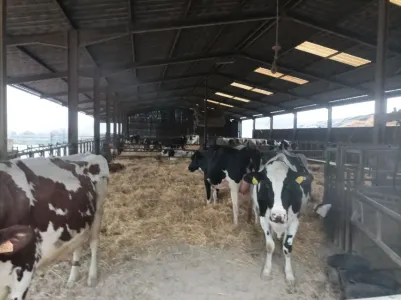 Bauernhof Zu Verkaufen 54000 GRAFIGNY FR
