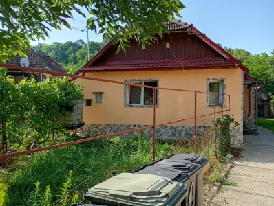 Bauernhof Zu Verkaufen 407124 Vaida-Camaras RO